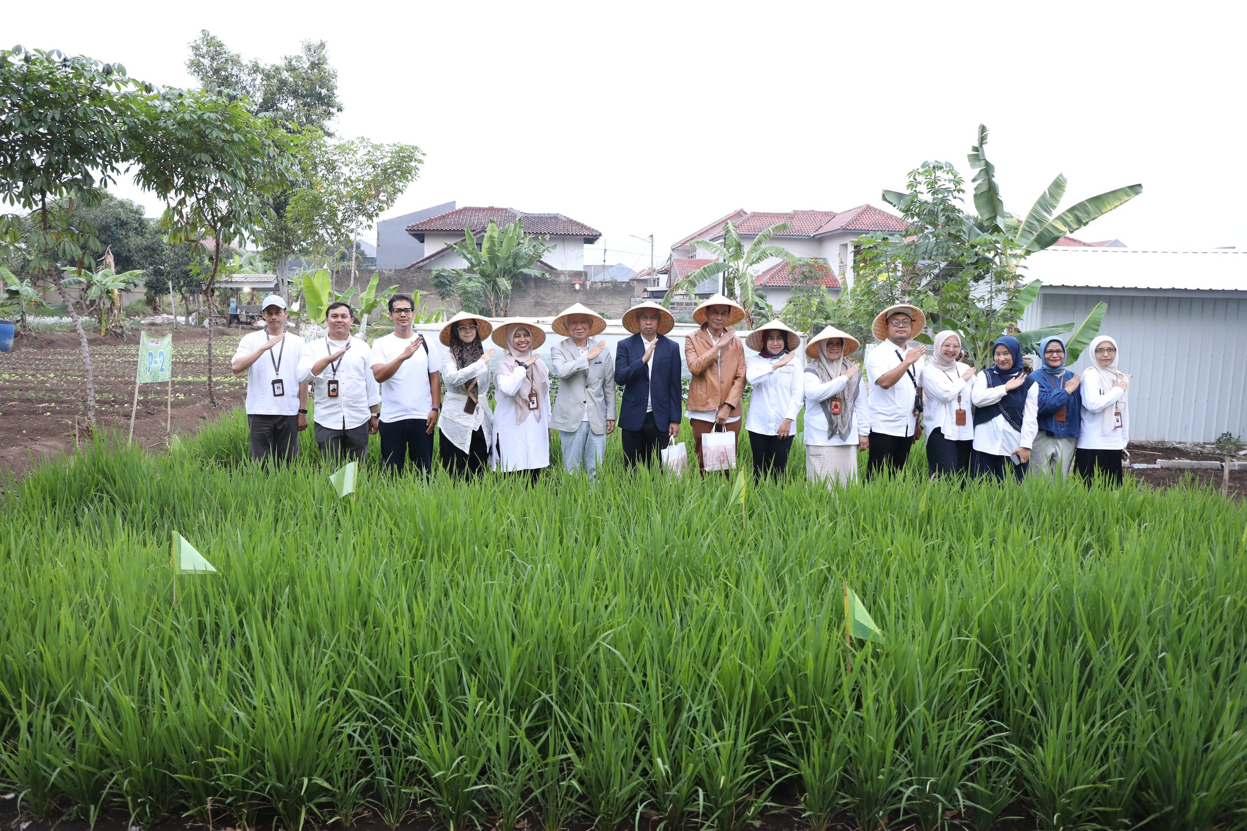 UPI Kembangkan Riset Kolaborasi Budidaya Tanaman Bersama Earth Japan Farm untuk Uji Pupuk di Iklim Indonesia